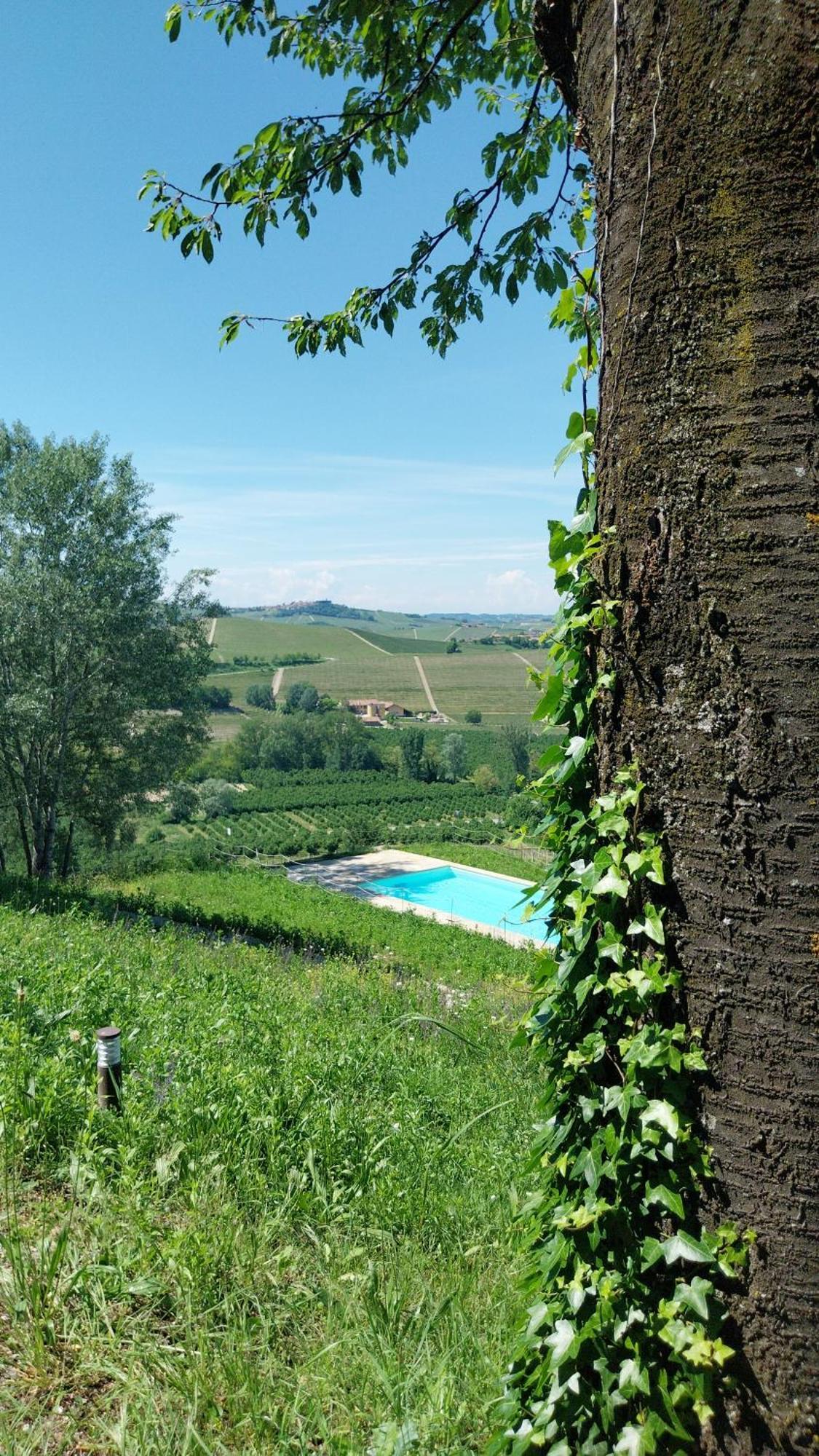 Tenuta Montanello B&B Castiglione Falletto Eksteriør bilde