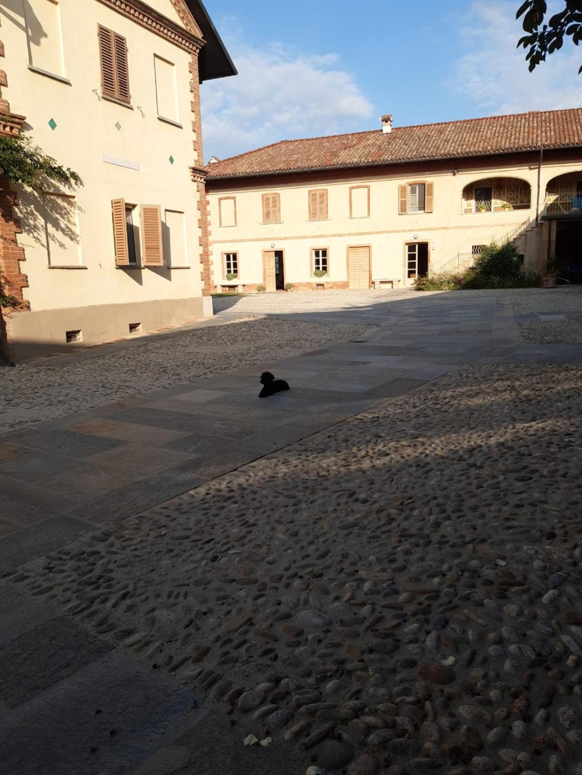Tenuta Montanello B&B Castiglione Falletto Eksteriør bilde