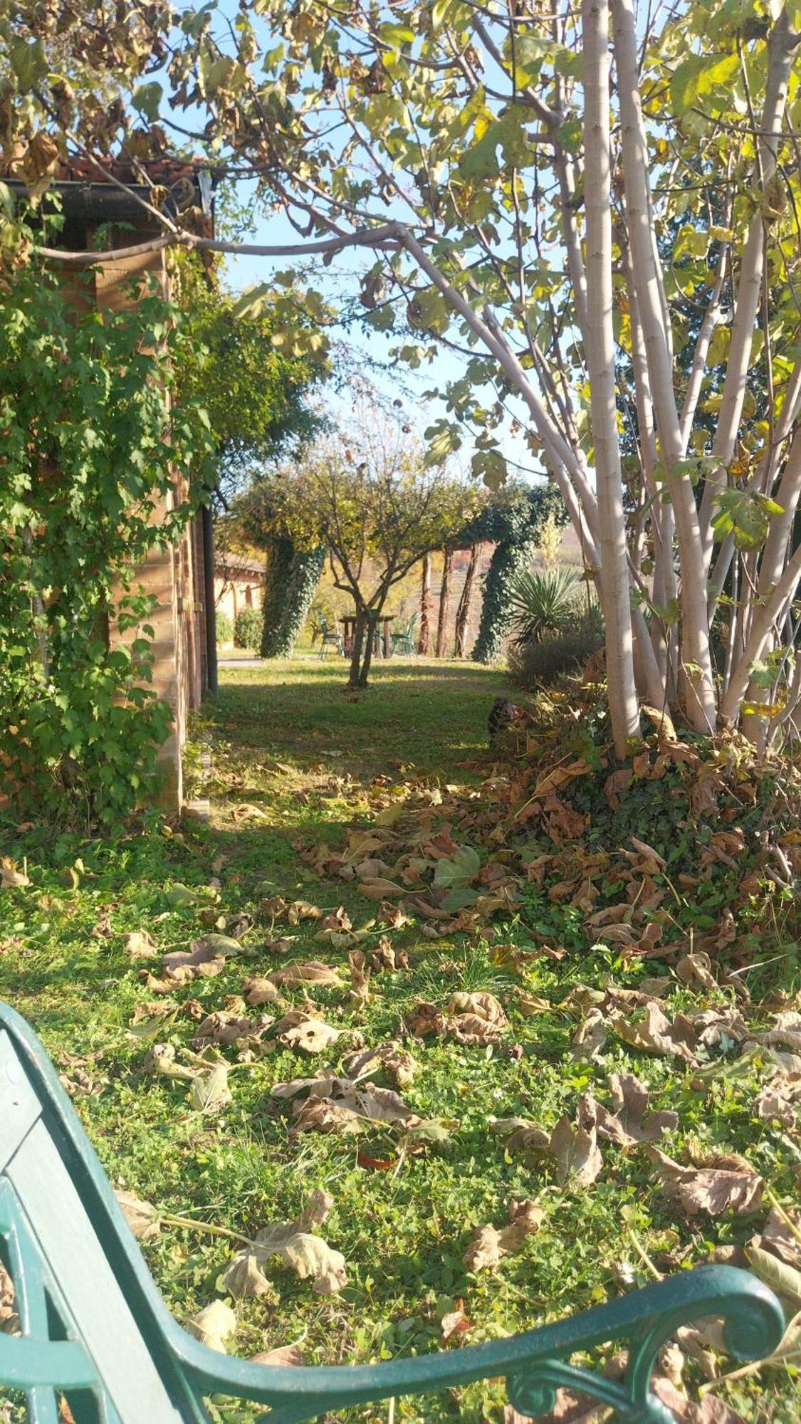 Tenuta Montanello B&B Castiglione Falletto Eksteriør bilde