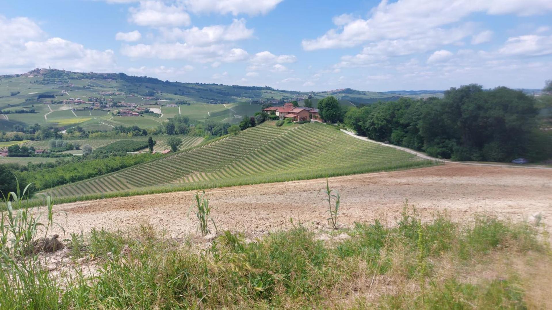 Tenuta Montanello B&B Castiglione Falletto Eksteriør bilde