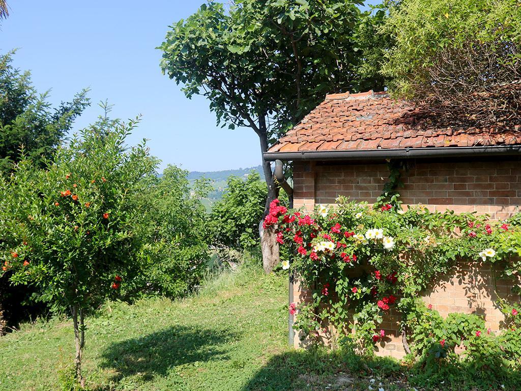 Tenuta Montanello B&B Castiglione Falletto Eksteriør bilde