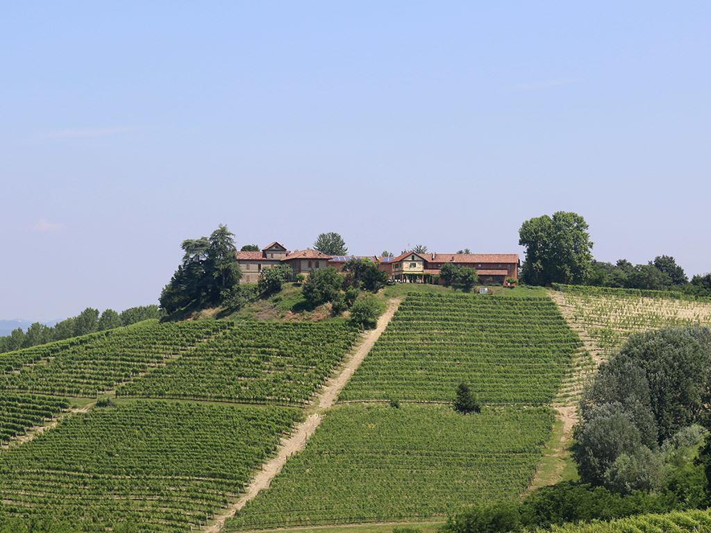 Tenuta Montanello B&B Castiglione Falletto Eksteriør bilde