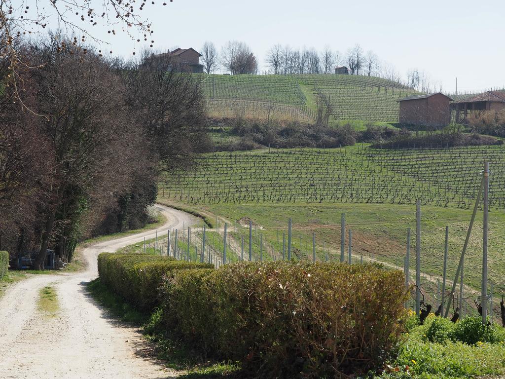 Tenuta Montanello B&B Castiglione Falletto Eksteriør bilde